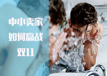 成功案例